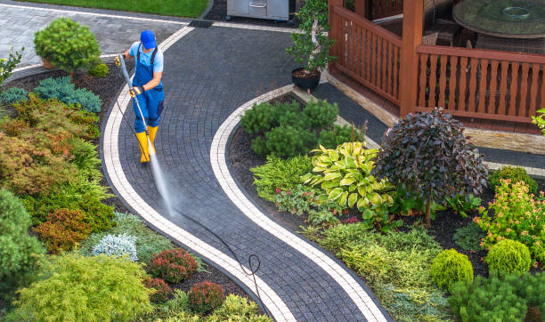 Local Pressure Washing Services in Yale, MI