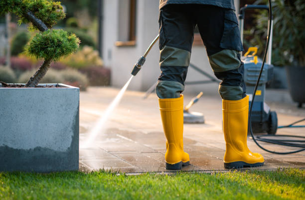 Best Residential Pressure Washing Services  in Yale, MI